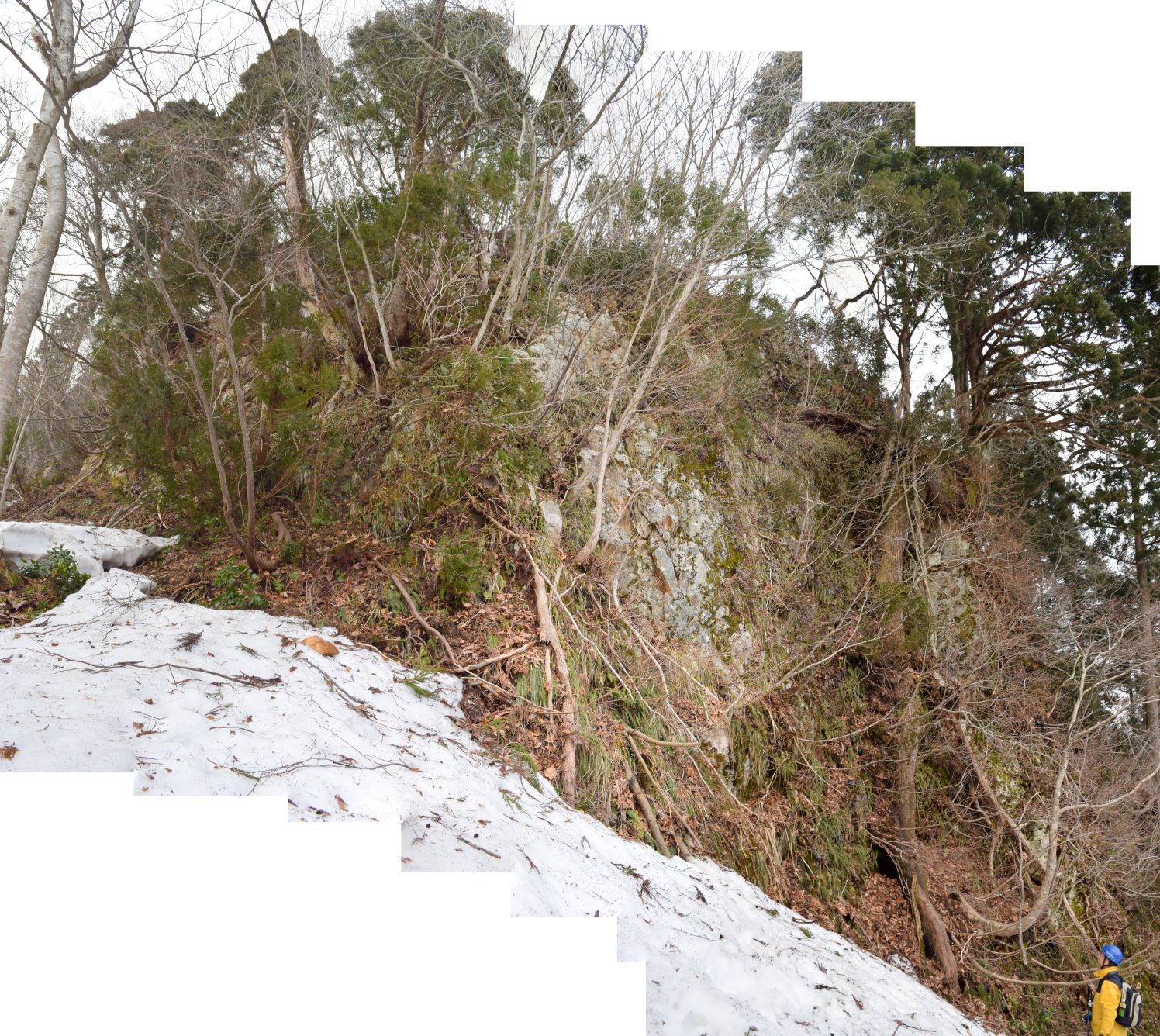 岩村展望台 流紋岩溶岩の全容を見る